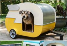 How to DIY Adorable Pet Camper Playhouse How to DIY Pet Camper Playhouse