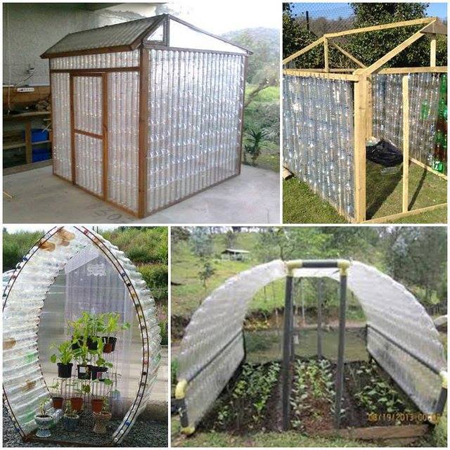 DIY Plastic bottle green house build guide