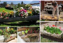 DIY Hollowed Tree Planters Tutorial DIY Hollowed Tree Planters Tutorial