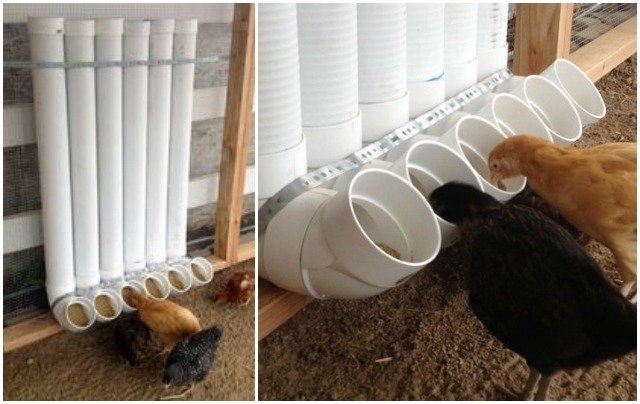 DIY PVC Chicken Feeder Tutorial