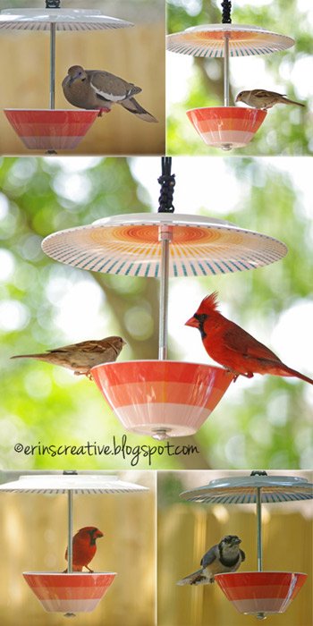 DIY Teacup Bird Feeder Collections and Tutorials