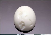 How To Boil Perfect Hard-Boiled Eggs Correctly How To Boil Perfect Hard-Boiled Eggs Correctly