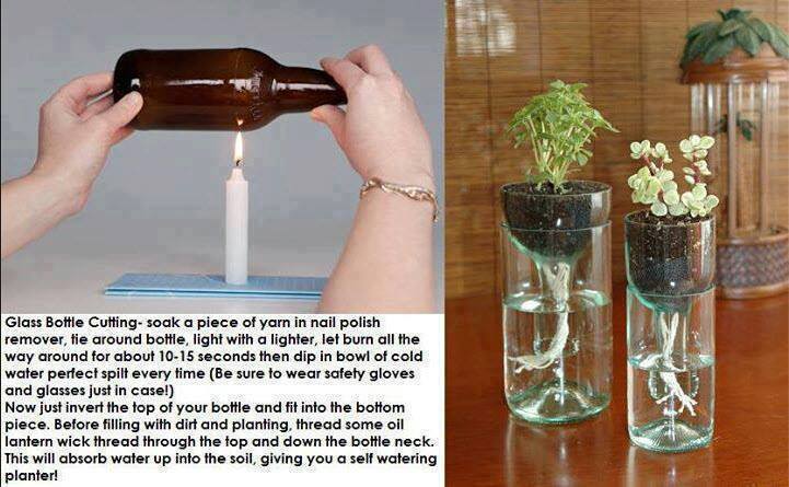 How to DIY Wine Bottle Planters