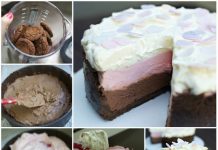 How to DIY No-Bake Neapolitan Cheesecake No-Bake Neapolitan Cheesecake