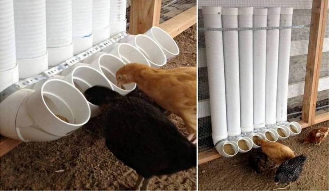 DIY PVC Chicken Feeders
