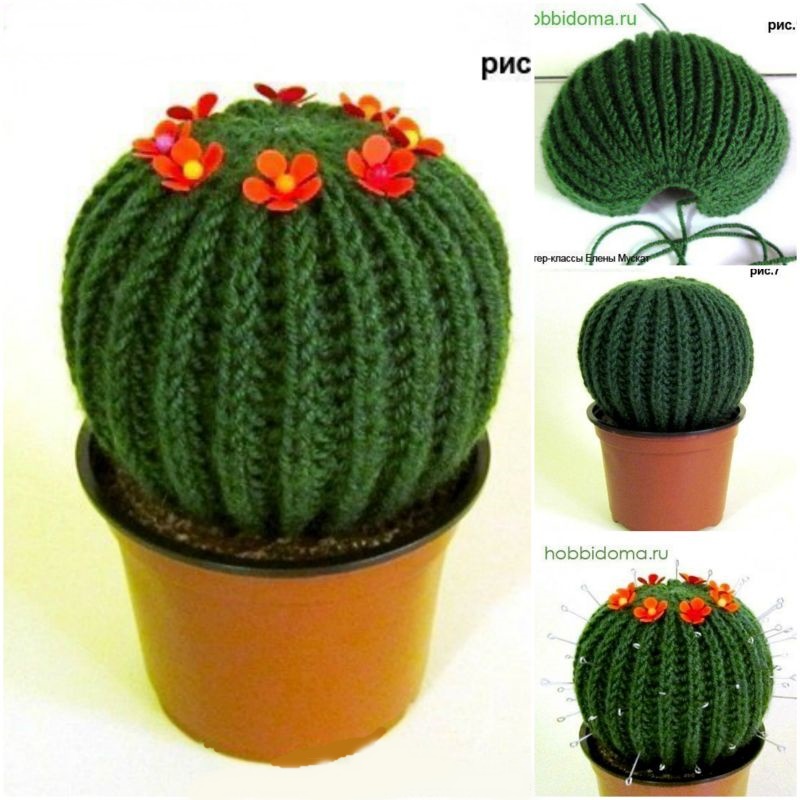 crochet cactus f