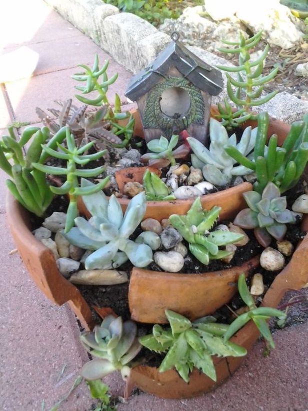 DIY Broken Pots Fairy Garden Tutorial Video