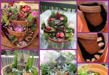 DIY Broken Pots Fairy Garden Tutorial – Video DIY Broken Pots Fairy Garden Tutorial-Video