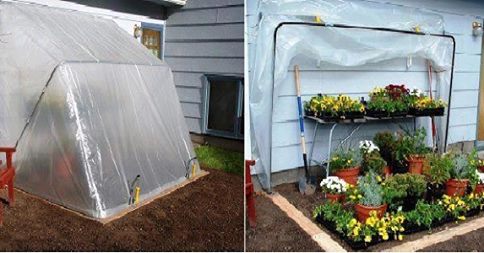 fold down green house