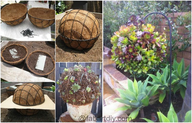 DIY Hanging Succulent Ball for your Garden step by step instructions