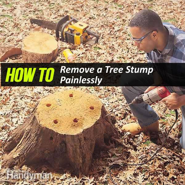 How To Remove A Tree Stump Painlessly