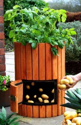 How to Grow 100 Pounds of Potatoes in A Barrel (Video)