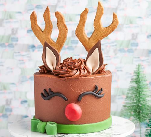 3D Magical Rudolph Reindeer Cake Design DIY Tutorial for Christmas 