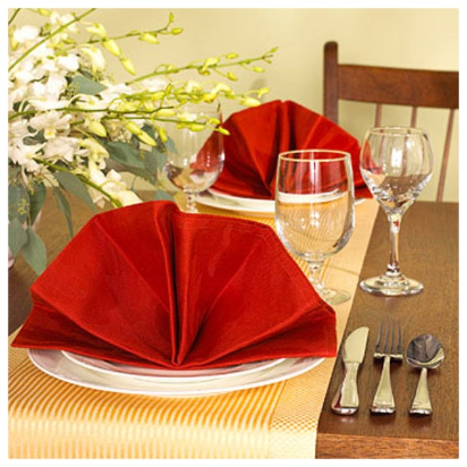 20 Best DIY Napkin Folding Tutorials for Christmas - Elegant Fan Napkin Folding DIY Tutorial