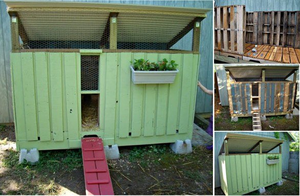 DIY Backyard Chicken Coop 4