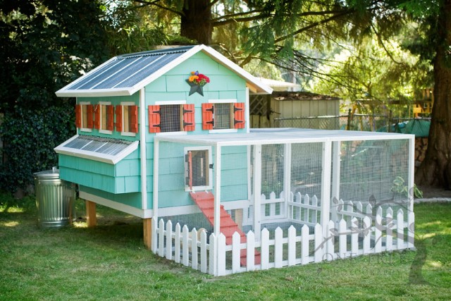 10+ DIY Backyard Chicken Coop Plans and Tutorials