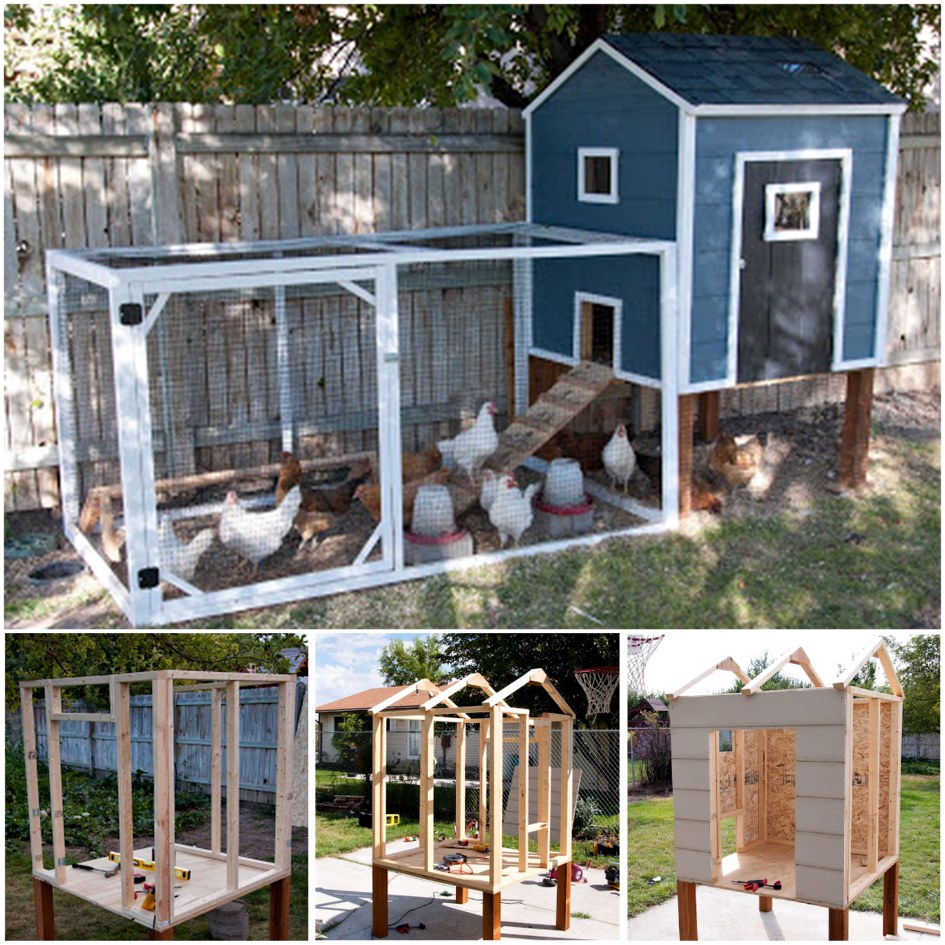 DIY Backyard Chicken Coop10