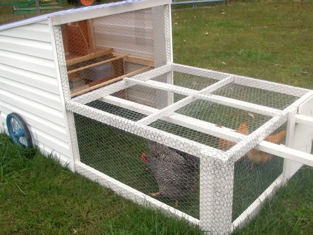 DIY Backyard Chicken Coop8