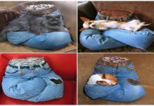 DIY Portable No Sew Recycled Jean Pet Pillow Tutorial DIY Portable No Sew Pet Pillow Tutorial From Recycled Jeans