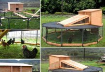 10+ DIY Backyard Chicken Coop Plans and Tutorial DIY Backyard Chicken Coop1