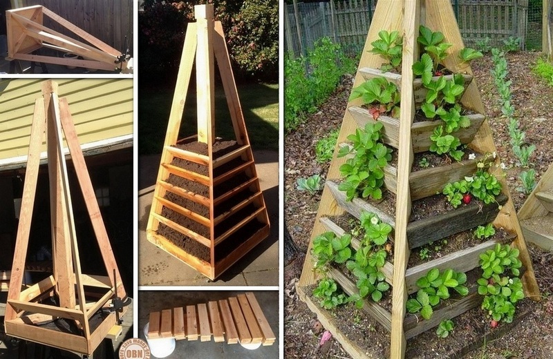 DIY Vertical Garden Pyramid Planter