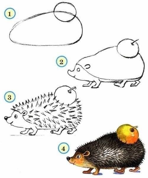 Draw wildlife animals - hedgehog
