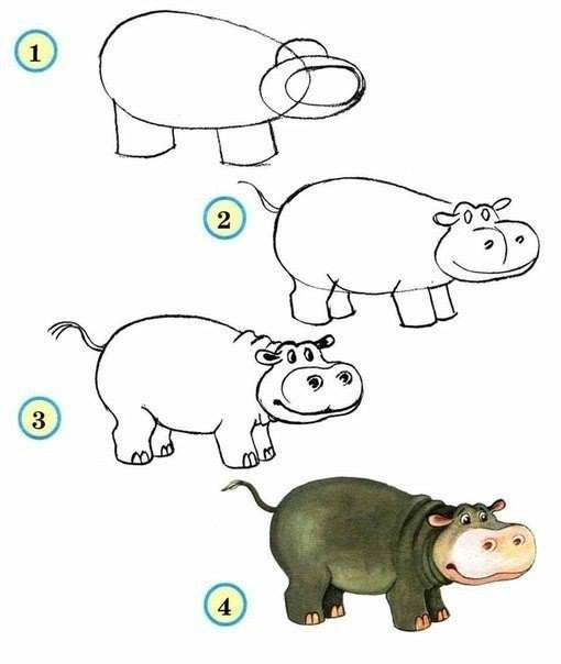 Draw wildlife animals - hippo