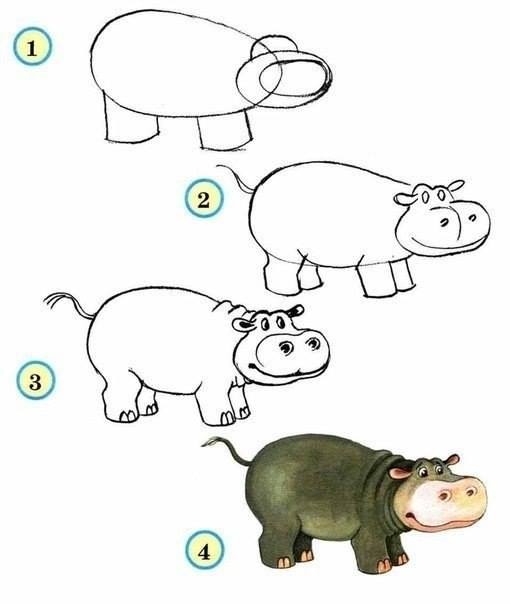 How To Draw Zoo Animals Easily