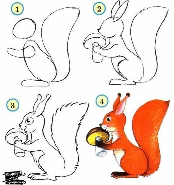 Draw wildlife animals - squirrel