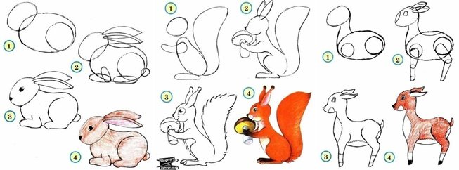 Draw wildlife animals tutorial