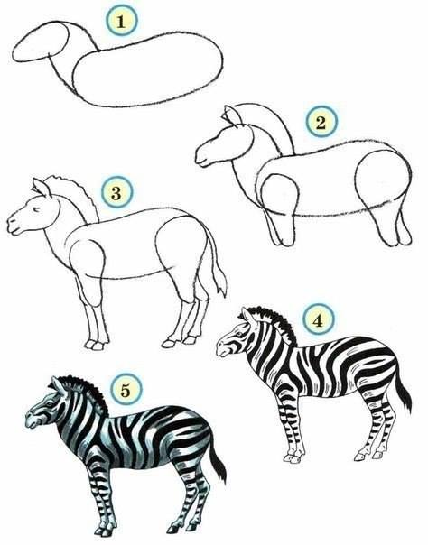 Draw wildlife animals - zebra