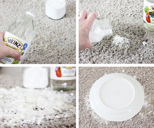 How to Remove Pet stains on Carpet