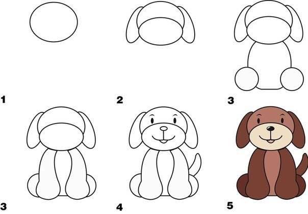 How to draw animals5