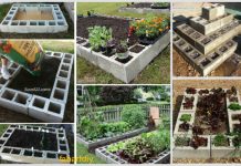 DIY Cinder Block Raised Garden Bed (Video) DIY Cinder Block Raised Garden Bed (Video)