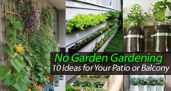 Urban Gardening Archives Diy Tutorials Urban Gardening Archives Diy Tutorials, Urban Gardening Ideas