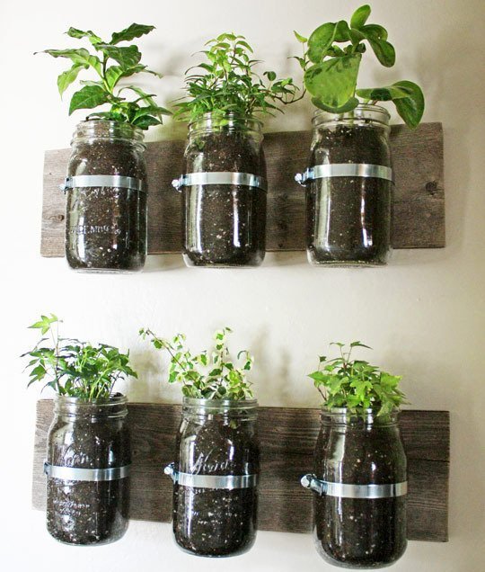 Canning jars panter mounted to the wall