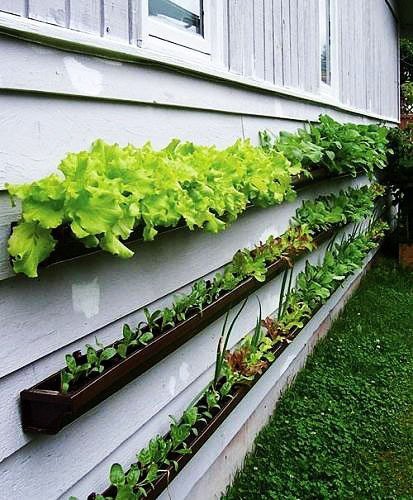 Gutters easily mount to a wall 