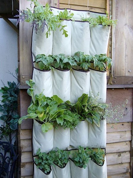 re-purpose an old shoe organizer into planter