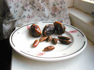 How to Grow Date Palm from Seeds