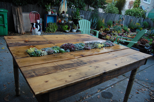 20+ Outdoor Pallet Furniture DIY ideas and tutorials- DIY Succulent Pallet Table