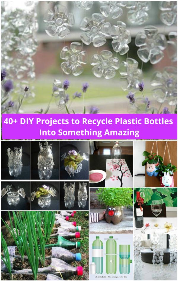 DIY Ideas and Projects to Recycle Plastic Bottles Into Something Amazing