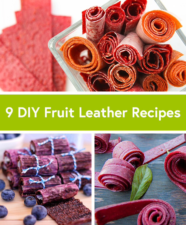 9 Grown-Up Fruit Roll-Up Recipes