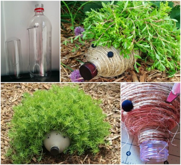 DIY Plastic Bottle Hedgehog Planter for Your Garden