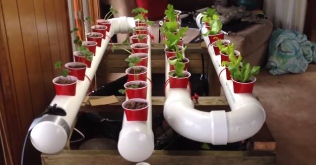 DIY PVC Gardening Ideas and Projects - PVC Aquaponic Garden