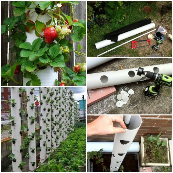 DIY PVC Gardening Ideas and Projects - PVC Strawberry Tube Planter