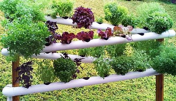 DIY PVC Gardening Ideas and Projects - DIY Hydroponic Garden Tower