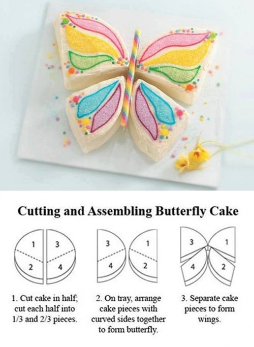 Fabulous Butterfly Cake Design from a round cake DIY Tutorial 