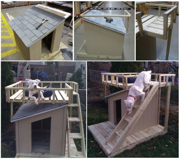 How to make Dog House With Roof Top Deck Tutorial