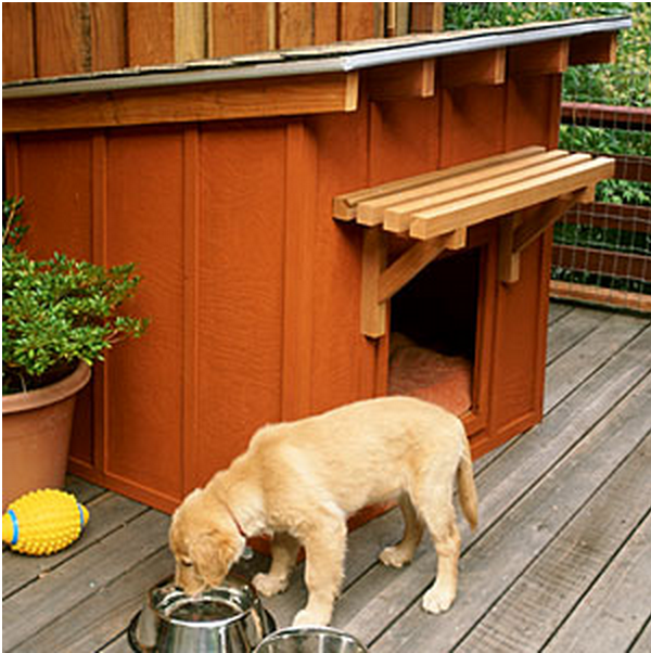 How to Build a Mini Ranch Dog house 