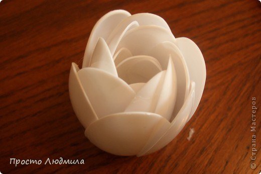 DIY-Plastic-Spoon-Waterlily-Flower